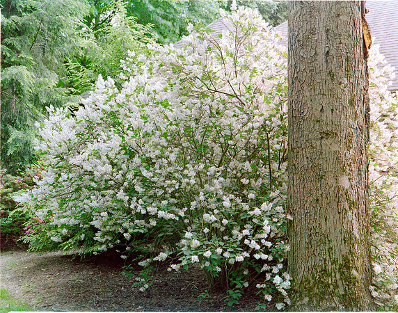 2021-21 Portra 160 (1 of 3)