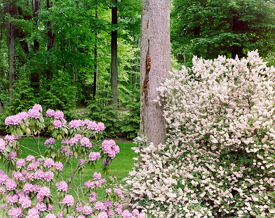 2021-21 Portra 160 (2 of 3)