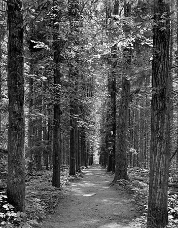 Oak Hill Trail