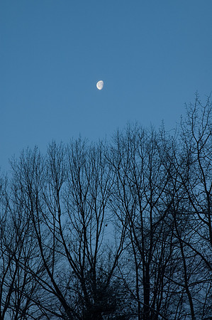 _DSC0005