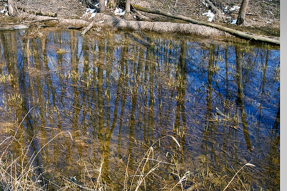 Boston Mills Towpath Reflections