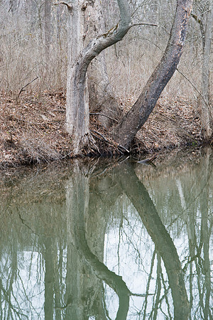 Towpath Ira Road Mirror
