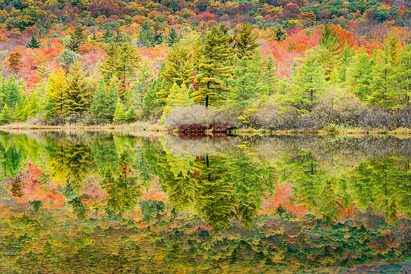 Vermont Fall Mirror
