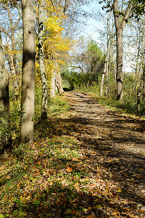 Towpath View
