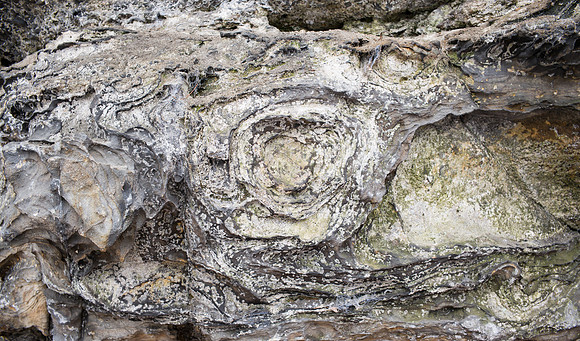 140202_MetroPark.Gorge_048