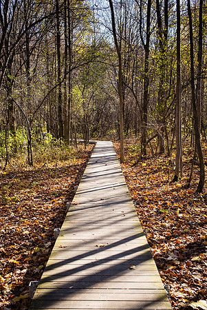 Ledges Walkway
