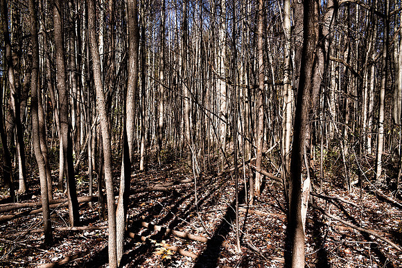Ledges Sun Rays