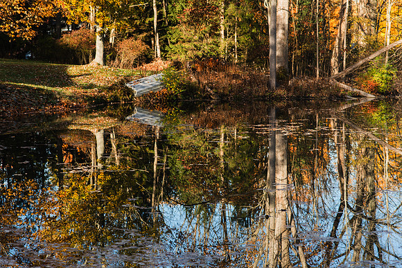 Crystal Lake Road Pond