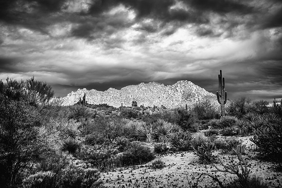 Phoenix Desert Storm