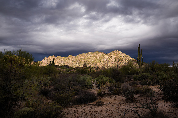 Phoenix Desert Storm Color