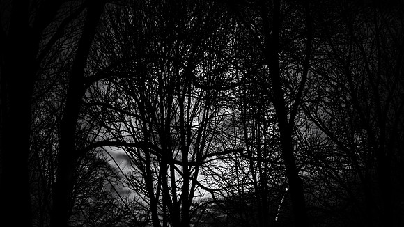 December Moon Show