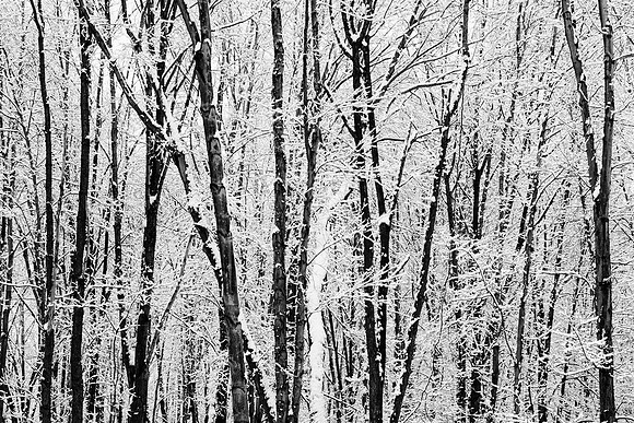 Snow Cover