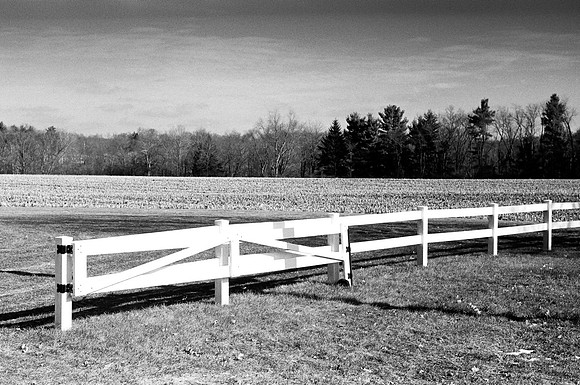 Zoar Fence