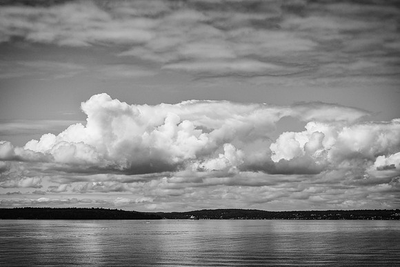 Seattle Bay View