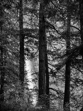 Oregon Falls