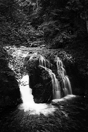 Oregon Low Falls