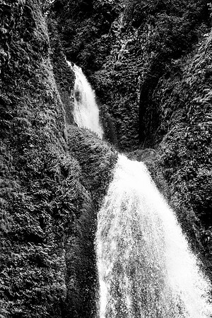 Oregon Misty Falls