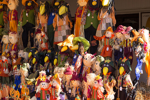 Szalays Fall Festival