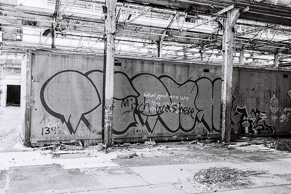 Carnegie Building Art