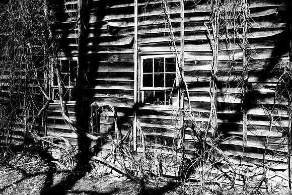 Zoar Barnside