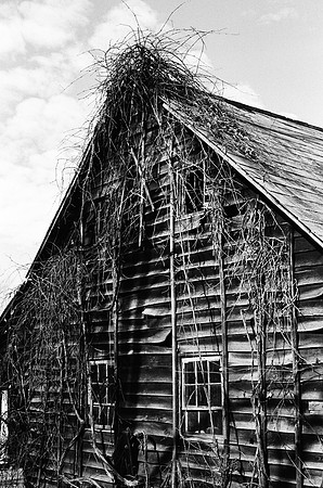 Zoar Barn