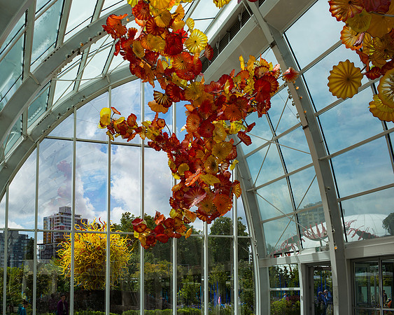 Chihuly Sky View