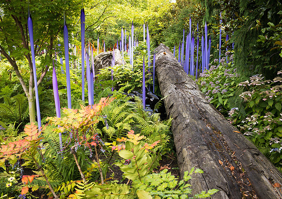 Chihuly Garden 2