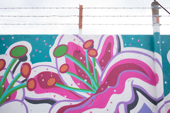 Chicago Graffiti
