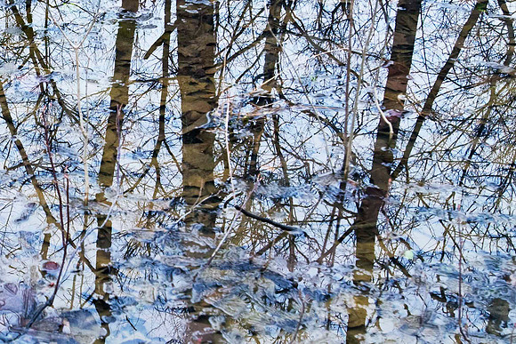 Reflections