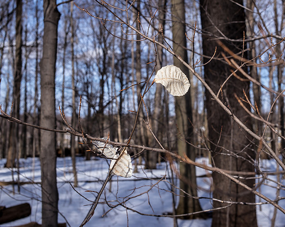 Bath Preserve Hanging On