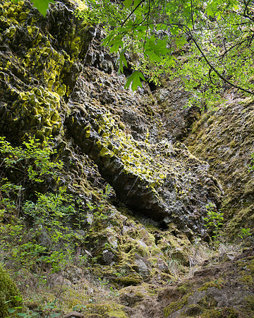 Oregon Gorge