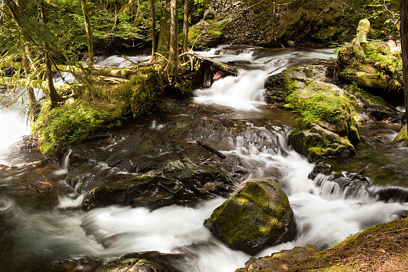 Oregon Fast River