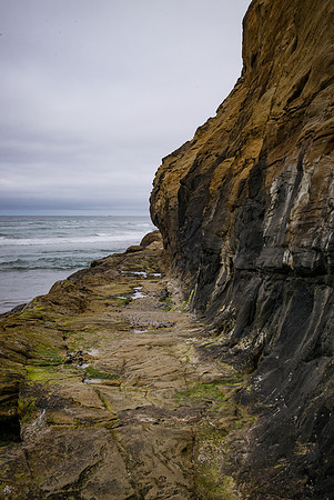 Cannon Beach Ledge