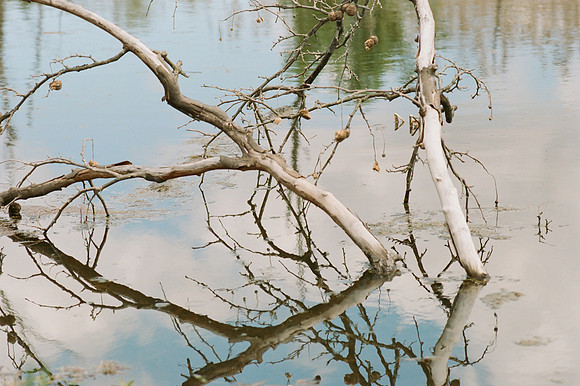 Cuyahoga River Branch