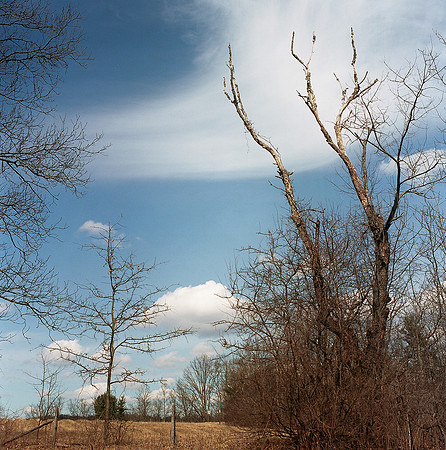 Sweeping Sky