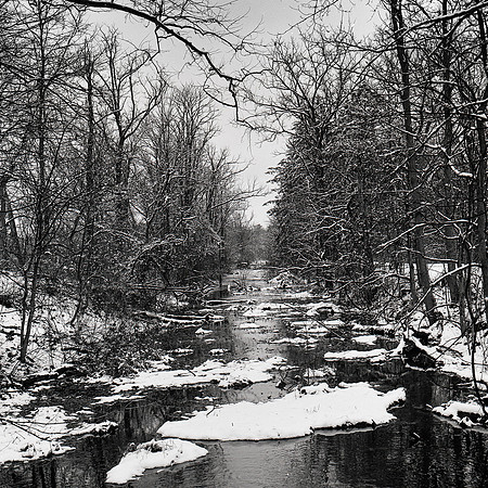 Canal in Winter