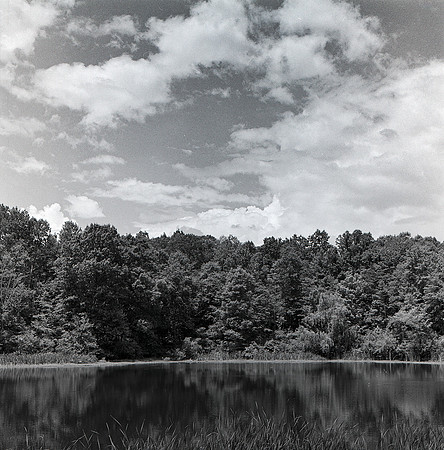 Oak Hill Pond
