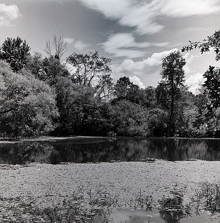 Oak Hill Pond 2