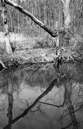 Towpath Reflections