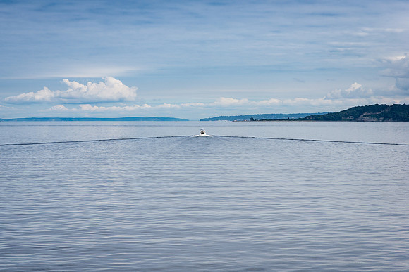 Seattle Bay