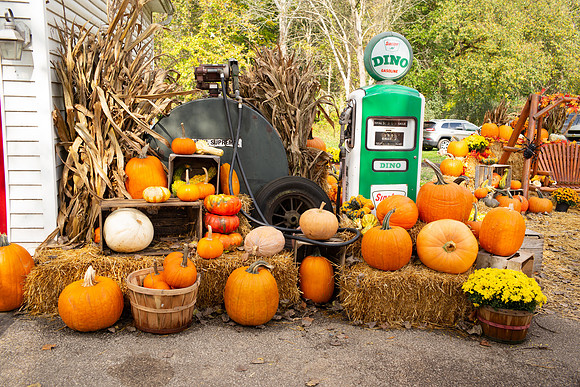Fall at Szalay's-2