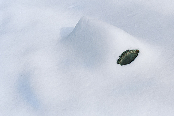Winter Cover
